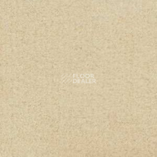 Ковролин Radici Admiral Nougat 2216 фото 1 | FLOORDEALER